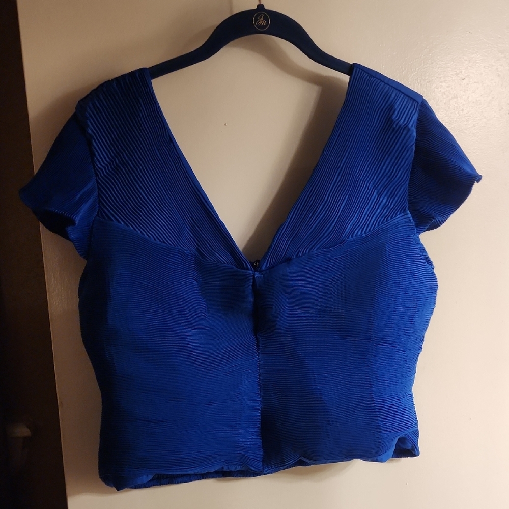 Express Cobalt Blue V-Neck Blouse